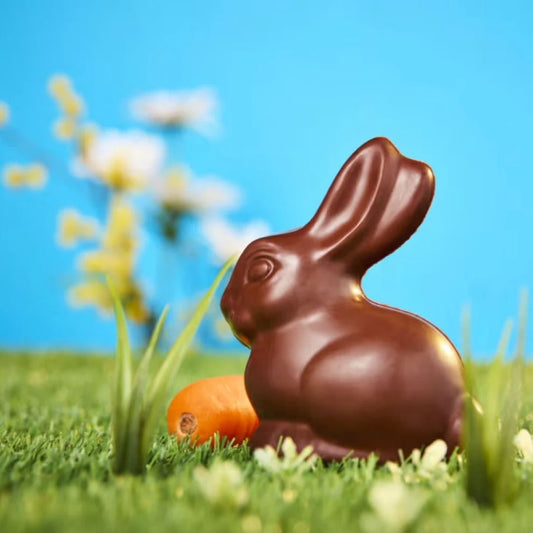 Mummy Meegz Hoppy Easter Bunny 100g