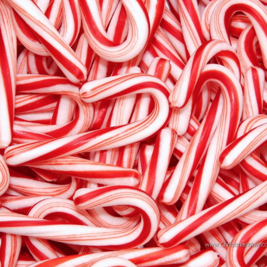 Christmas Special: Guide to Candy Canes