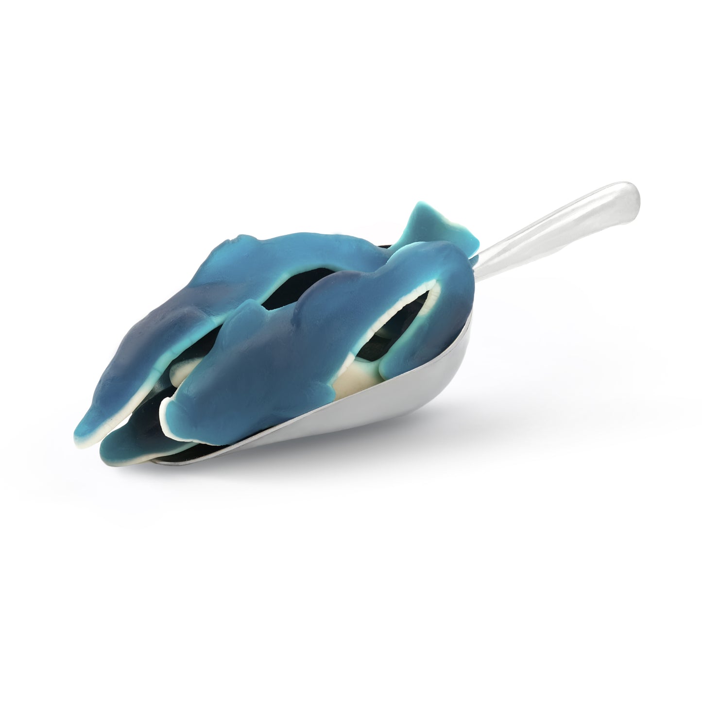Giant Dolphin 100g